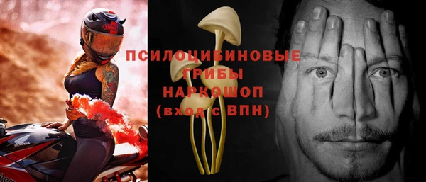 хмурый Богданович